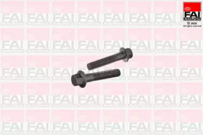 FAI AUTOPARTS ss9254bk -